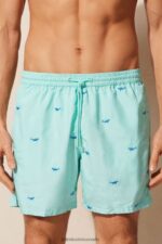 Apparel CA Intimissimi Men Shark-Embroidered Swim Shorts 256J-Shark Embroidery Aqua Green DD6R6T411