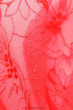 Underwear CA Intimissimi Women Pure Joy Daniela Balconette Bra 209J-Lollipop Pink DD6R6T553 - Image 6